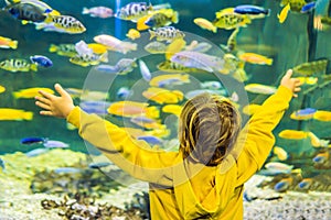 Little boy, kid watching the shoal of fish swimming in oceanarium, children enjoying underwater life in Aquarium