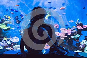 Little boy, kid watching the shoal of fish swimming in oceanarium, children enjoying underwater life in Aquarium