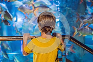 Little boy, kid watching the shoal of fish swimming in oceanarium, children enjoying underwater life in Aquarium