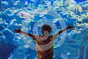 Little boy, kid watching the shoal of fish swimming in oceanarium, children enjoying underwater life in Aquarium