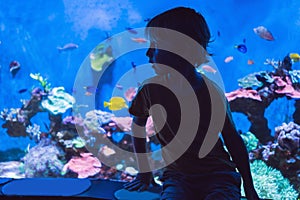 Little boy, kid watching the shoal of fish swimming in oceanarium, children enjoying underwater life in Aquarium