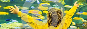 Little boy, kid watching the shoal of fish swimming in oceanarium, children enjoying underwater life in Aquarium BANNER