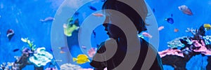 Little boy, kid watching the shoal of fish swimming in oceanarium, children enjoying underwater life in Aquarium BANNER