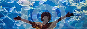 Little boy, kid watching the shoal of fish swimming in oceanarium, children enjoying underwater life in Aquarium BANNER