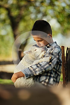 Little boy with lamb