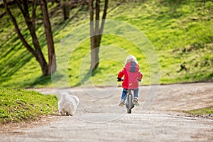 Little boy, learning how to ride a bike in the park