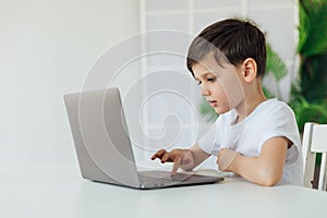 Little boy learns to work on a laptop