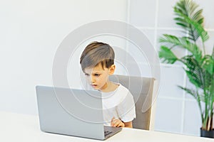 Little boy learns to work on a laptop