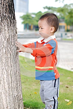 Little boy lookat the tree