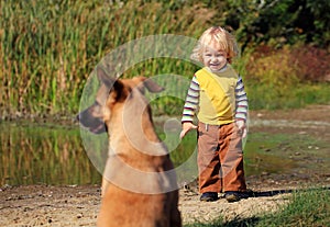 Little boy looking at a dog