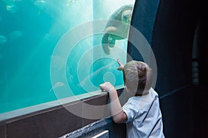 Little boy looking at fish tank