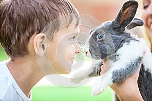 Little boy looking at pet rabbit