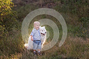 Little boy lovingly embraces white fluffy Samoyed dog. Friendship between man and animal. Traveling