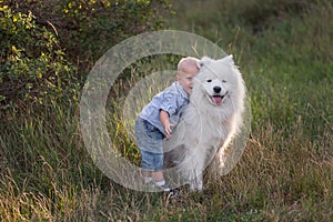 Little boy lovingly embraces white fluffy Samoyed dog. Friendship between man and animal. Traveling