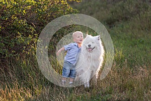 Little boy lovingly embraces white fluffy Samoyed dog. Friendship between man and animal. Traveling