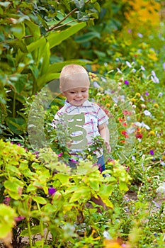 Little boy in a lush garden