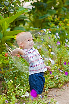 Little boy in a lush garden
