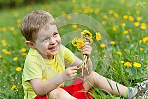 A little boy in a meadow full of dandelions