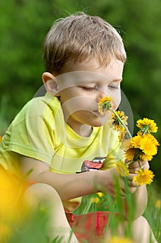 A little boy in a meadow full of dandelions