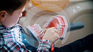 A little boy in the moren dentistry - brushing teeth of the plastic model of human jaws