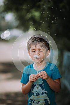 Little boy in park blowing dandelion