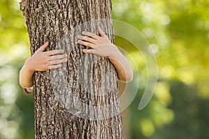 Little boy in the park hugging tree