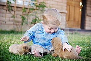 Little boy petting dog