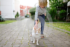 Little boy is petting of wild cats on the streets of small town. Child is taking care of pets. Homeless animals