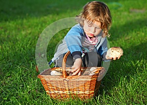 little boy pick mushrooms in green forest, kids outdoor activities