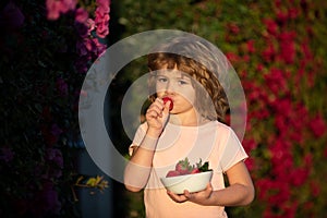 Little boy picking and eating strawberry. Cute cheerful child eats strawberries. The schoolboy is eating healthy food