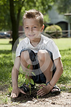 Little boy planting