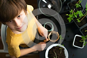 Little boy planting seedlings at home. An independent child is busy with a hobby with potted plants. Happy child