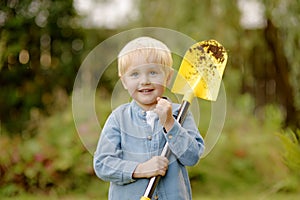 Little boy planting tuya bushes in the yard. Seasonal works in the garden. Landscape design. Child is helping parents in the