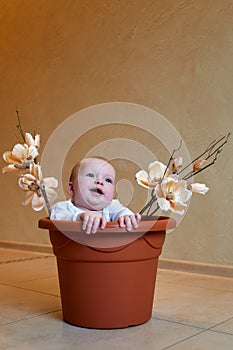 Little boy in a plastic bucket