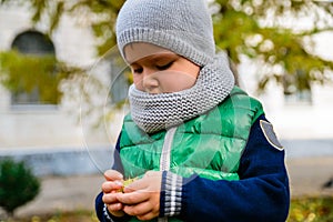 Little boy play with chestnuts in autumn day