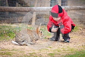 Little boy play with a rabbit