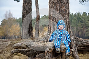 Little boy playing, on autumn landscape, sitting and smiling the tree root