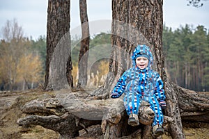 Little boy playing, on autumn landscape, sitting and smiling the tree root