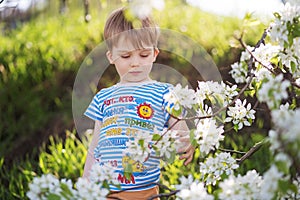 Little boy playing in blooming garden.