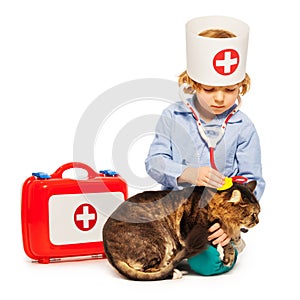 Little boy playing doctor veterinarian with a cat
