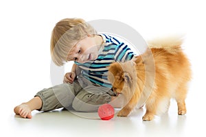 Little boy playing with dog, isolated on white background