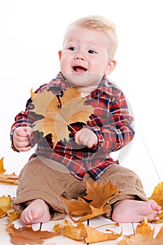 Little boy playing on the floor with maple leaves.