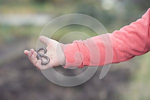 Pequeno chico en con una capucha camisas en el jardín lombriz 