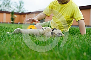 Little boy playing with his cute dog