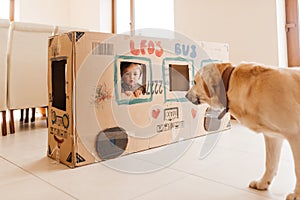 Little boy playing with his dog and cardboard box