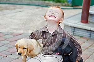 Little boy playing outdoor with a two Labrador puppies