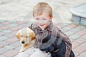 Little boy playing outdoor with a two Labrador puppies