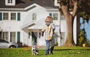 Little boy playing with puppy. Happy child walking dog.