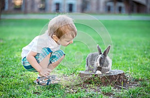Little boy playing with rabbit.