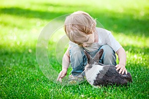 Little boy playing with rabbit.